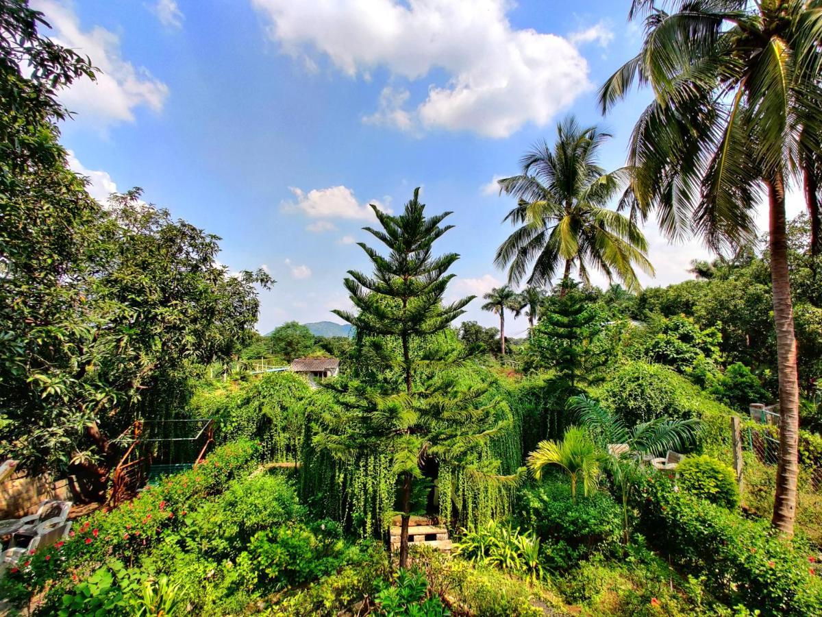 Hotel Anil Farmhouse Gir Jungle Resort Сасан-Джір Екстер'єр фото